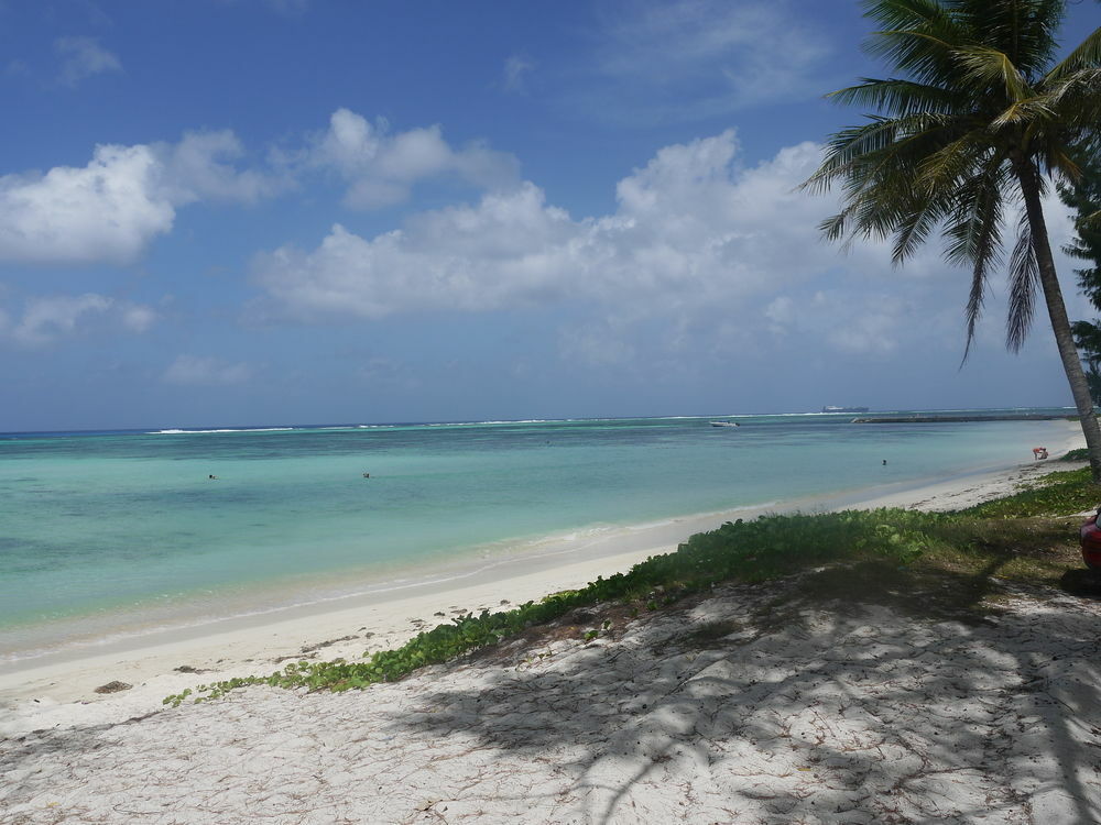 Aquarius Beach Tower Susupe Exterior foto